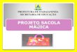 Projeto sacola magica 2