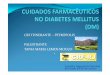 Palestra sobre diabetes mellitus