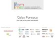 Apresentação Celso Fonseca - Folha Universal