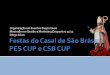 Pes csb cup