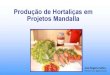 Curso produção hortaliças em projeto mandala