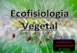 Ecofisiologia Vegetal - Bot¢nica
