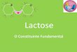 Lactose - Geofar