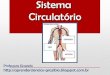 Sistema Circulatório/ Cardiovascular
