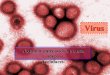 virus - caract, estrut, infeccao viral, ciclo hiv