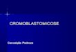 [Infectologia] cromoblastomicose