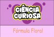 Fórmula floral