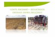 Seminário stab 2013   agrícola - 16. colheita mecânica com uso do ancinho - resultados preliminares na safra - unidades cucau, estreliana, pumaty e união e industria