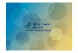 Blue Tree Premium Fortaleza