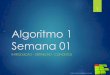 Algoritmo 01 - Semana 01