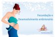 Gravidez e desenvolvimento embrionário