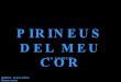 Pirineus 