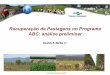 Programa ABC - Recuperação de Pastagens no Programa ABC: análise preliminar