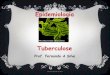 Tuberculose - TB