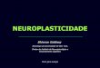 Neuroplasticidade   (Ff)