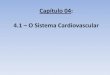 Capítulo 04 - sistema cardiovascular