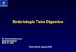 Embriologia digestiva