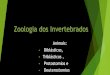 Zoologia dos invertebrados