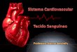 Sistema Cardiovascular e Sangue