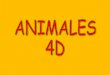 ANIMAIS 4D