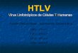 HTLV - Vírus linfotrópico de células T humano