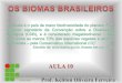 Ifes aula 10-as-fronteiras_naturais_do_brasil