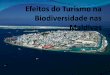 Efeitos do turismo_na_biodiversidade_das_maldivas