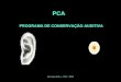 PCA -  Programa de Conservação Auditiva