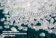 Minerais Halogenetos - Halita e Fluorita