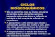 2 ciclos biogeoquimicos novos