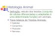 Histologia animal 2