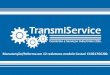 TransmiService - Manutenção / Reforma  de 12 Redutores - Cestari C10217GCJ00
