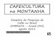 Desafios e soluções para a cafeicultura de montanha - João Carlos Romero - VII Simpósio Araxá 2011