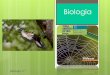 Biologia 11   sistemas de classificação (u8)