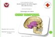 Osso/Bone/Hueso Temporal - Osteologia