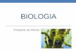 Biologia 10º   transporte nas plantas
