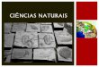 Ciências naturais 7   história da terra - o que dizem os fósseis - parte i
