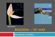 Bg3   Diversidade Na Biosfera (MóDulo Inicial)