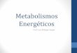 Aula 4  Biologia Celular V - Metabolismos Energéticos