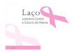 2011 10-30 - lutamos contra cancro mama