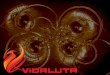 Vidaluta.com - A rede social das artes marciais