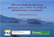 UBCs do Estado de São Paulo: aplicação para análise do perigo de deslizamentos e inundações
