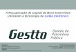 GESTTO – “A Recuperação de Capital de Bens Inservíveis utilizando a tecnologia de Leilão Eletrônico”