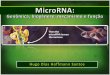 MicroRNA - genômica, biogênese, mecanismo e função