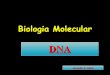 Biologia molecular   dna e rna