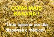 Foods   Coma Mais Banana