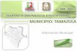 Tamazula - Inventario de Obra Pública 2004 -2010