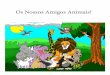 Historia " Os nossos amigos animais"