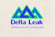 Delta Leak Company