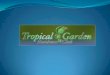 Apresentação tropical garden fabiola